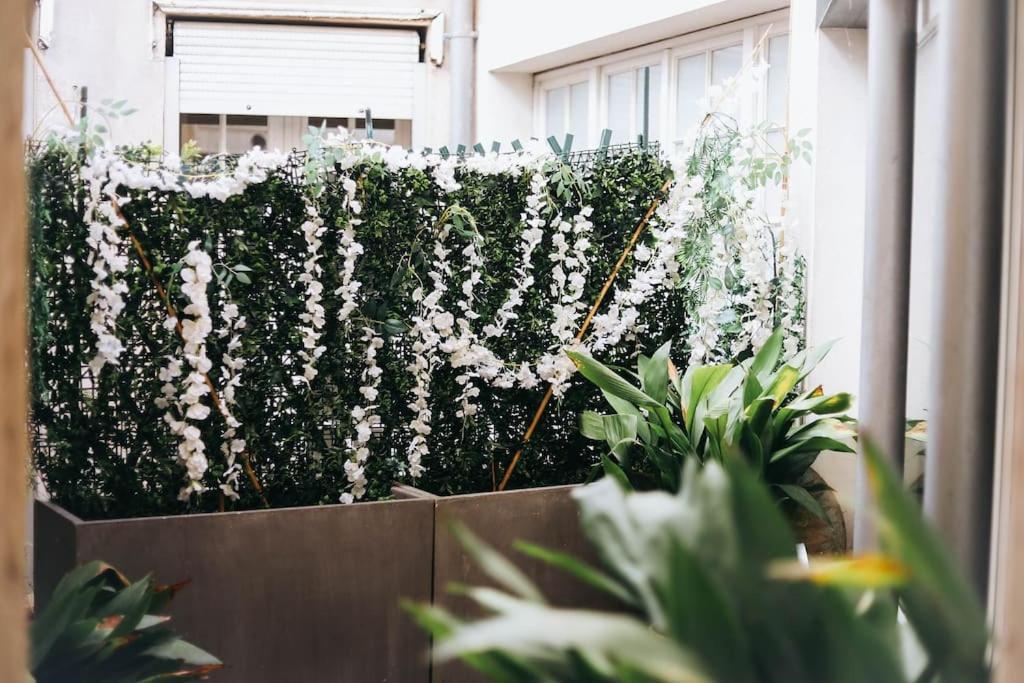 Cocon Au Coeur De Toulouse Apartment ภายนอก รูปภาพ